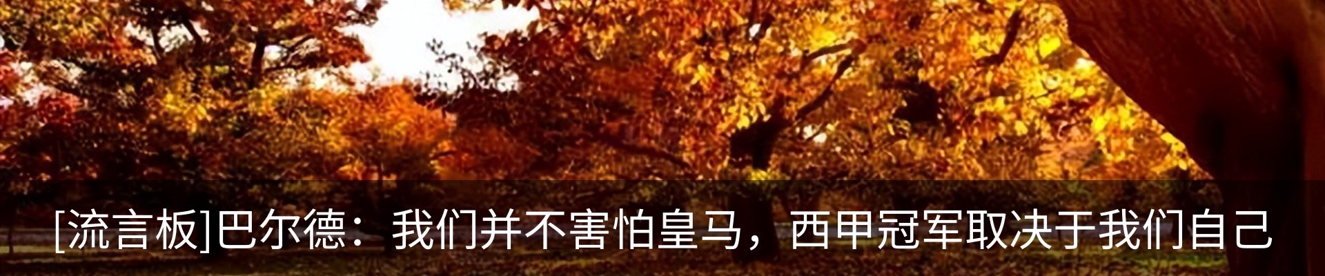 行业资讯
